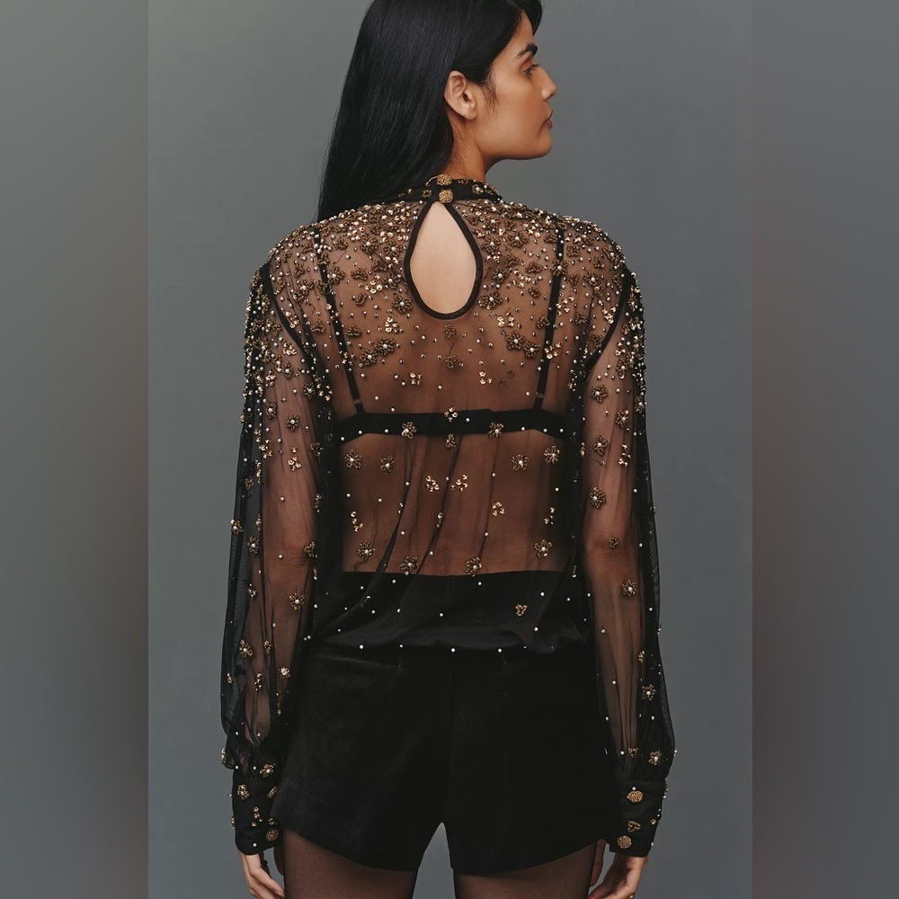 FARM RIO Mock Neck Sheer Embroidered Blouse - Picture 4 of 10